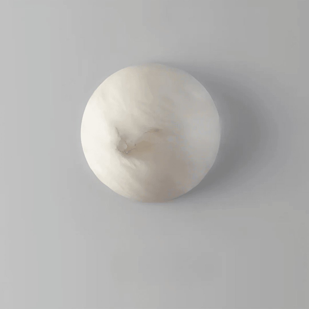 Iris Sconce - The deco nook